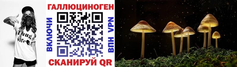 где продают   Минеральные Воды  ссылка на мегу   Псилоцибиновые грибы GOLDEN TEACHER 