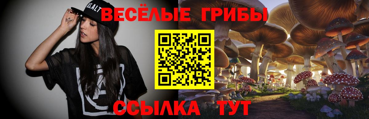 Галлюциногенные грибы мухоморы Минеральные Воды