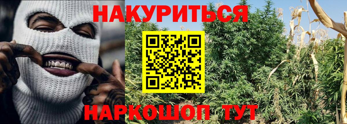 Канабис тримм  Конопля OG Kush  Вход с VPN  Минеральные Воды  Бошки Шишки ГИДРОПОН 